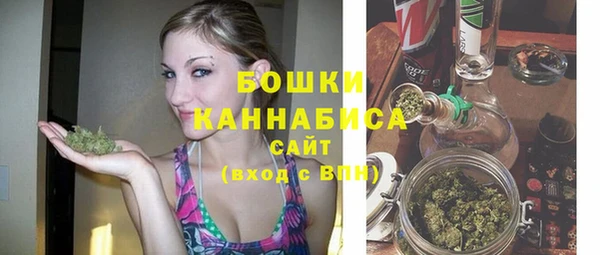 ешки Гусиноозёрск