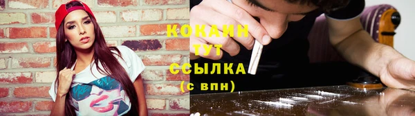 альфа пвп Гусев