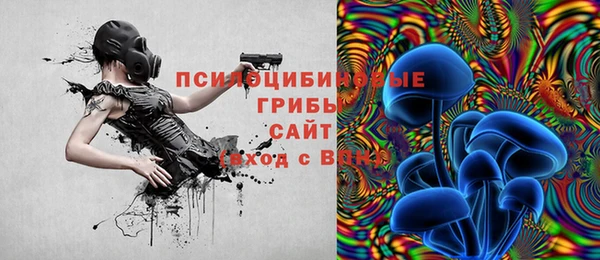 ешки Гусиноозёрск