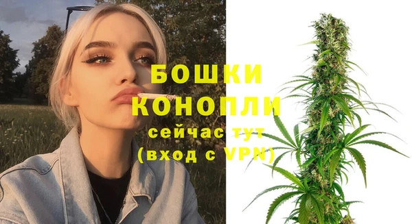 ешки Гусиноозёрск