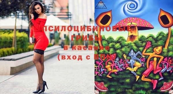 альфа пвп Гусев
